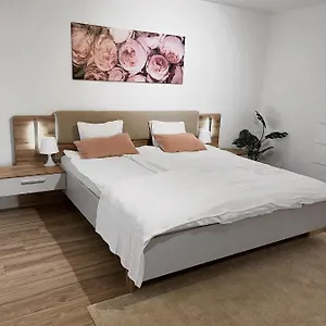 https://eine-schne-wohnung-im-herzen-von-basel.hotelsbaselswitzerland.com